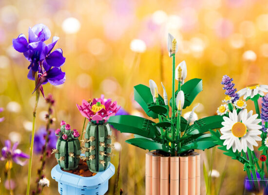 LEGO Gänseblümchen, Friedenslilie und Blühender Kaktus ab Januar 2025 bei LEGO LEGO Gänseblümchen, Friedenslilie und Blühender Kaktus ab Januar 2025 bei LEGO