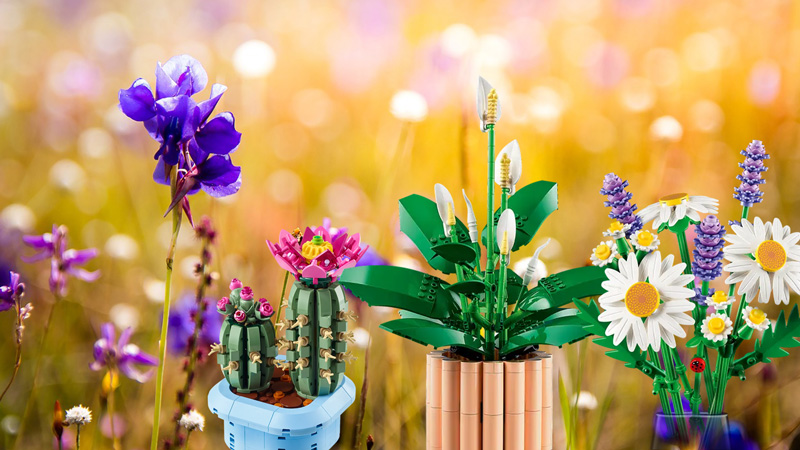 LEGO Botanicals Neuheiten Friedenslilie, Blühender Kaktus, Gänseblümchen Titel