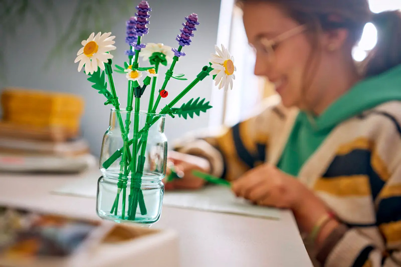 LEGO 11508 Gänseblümchen Lifestyle