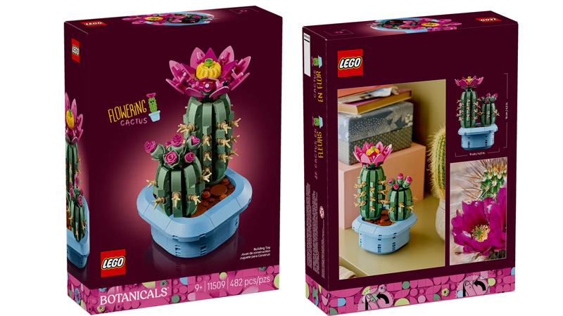LEGO 11509 Blühender Kaktus Box