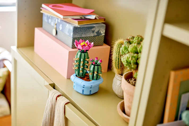 LEGO 11509 Blühender Kaktus Lifestyle