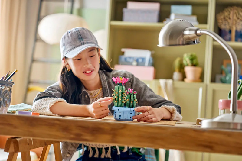 LEGO 11509 Blühender Kaktus Lifestyle