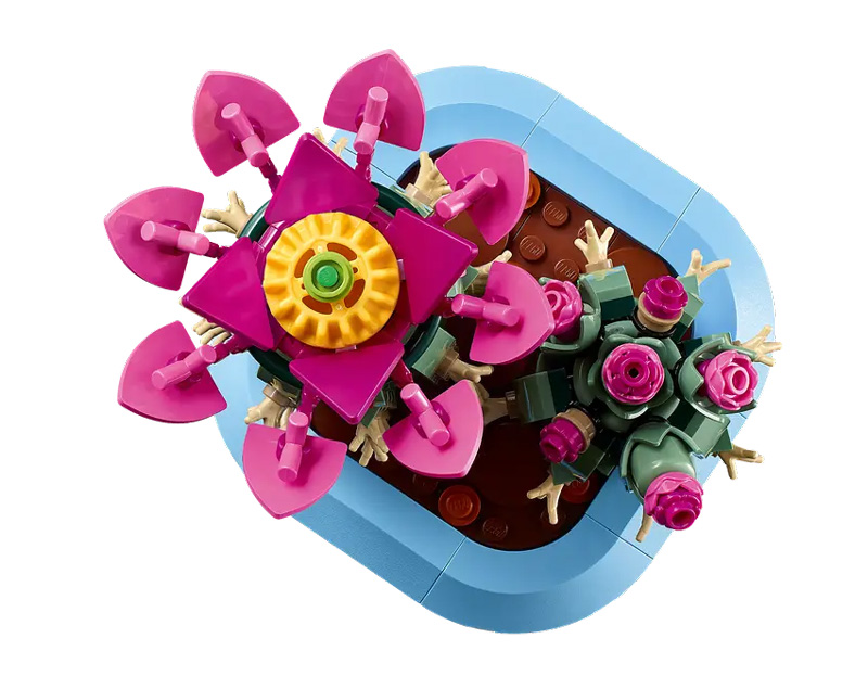 LEGO 11509 Blühender Kaktus Set
