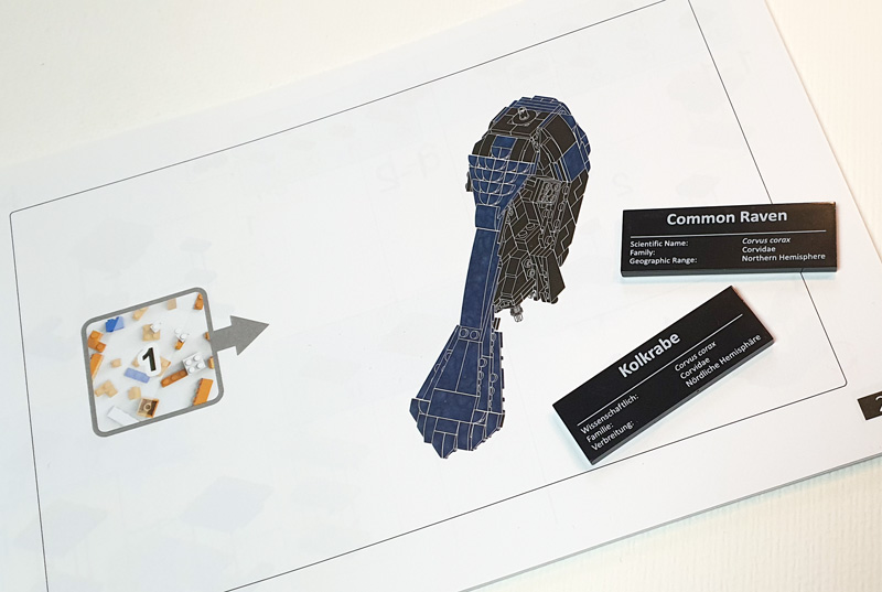 BlueBrixx Kolkrabe 107784 Aufbau