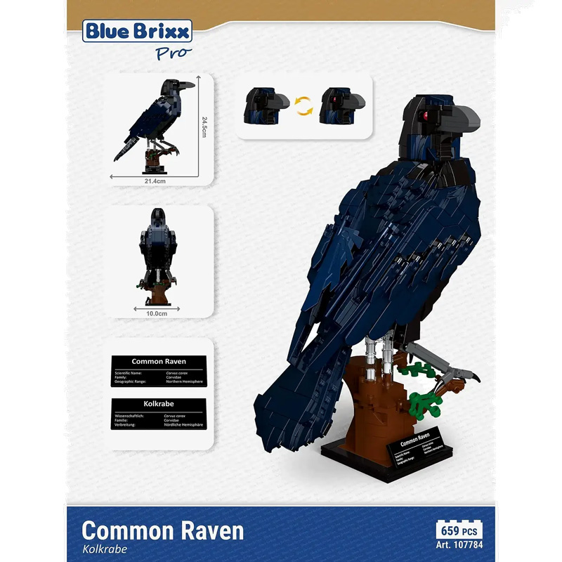 BlueBrixx Kolkrabe 107784 Box