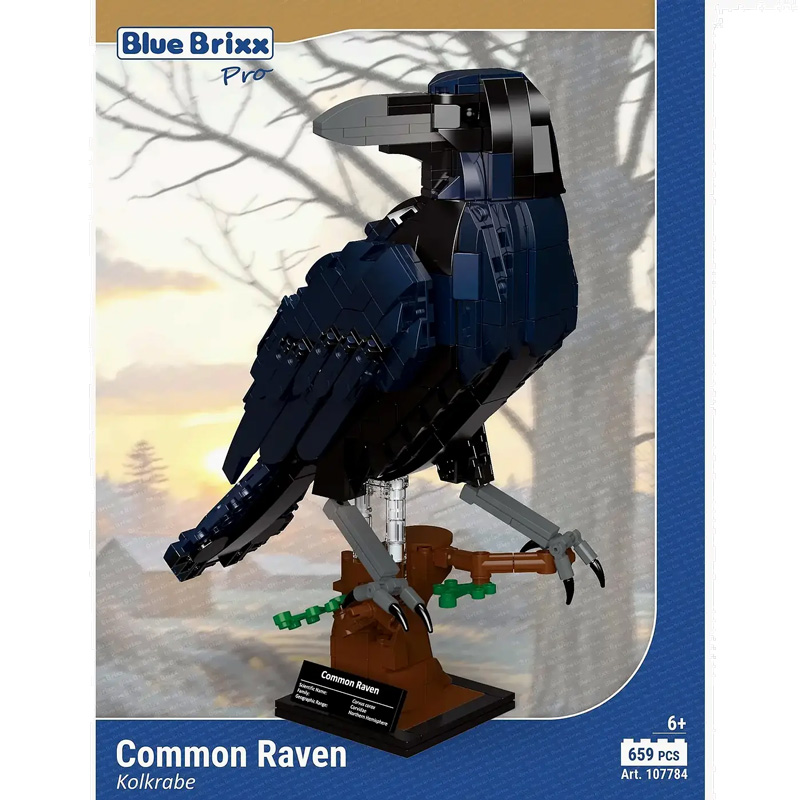 BlueBrixx Kolkrabe 107784 Box