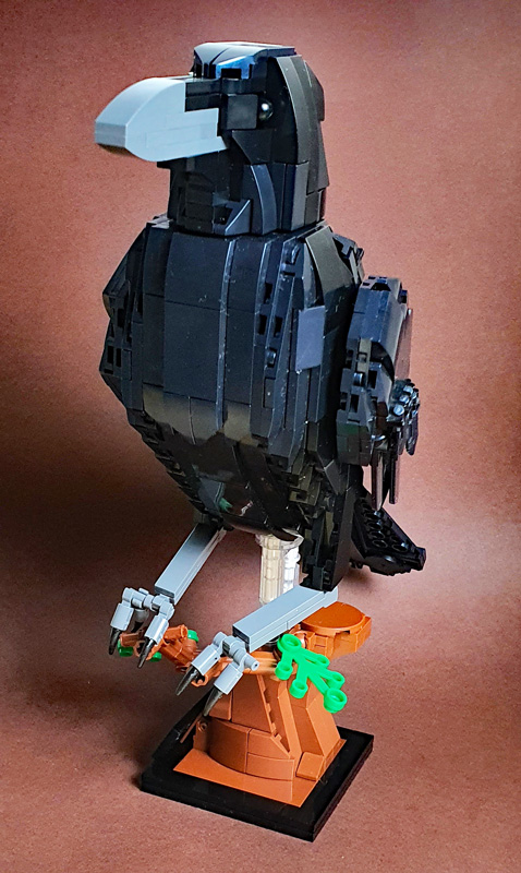 BlueBrixx Kolkrabe 107784 gebaut