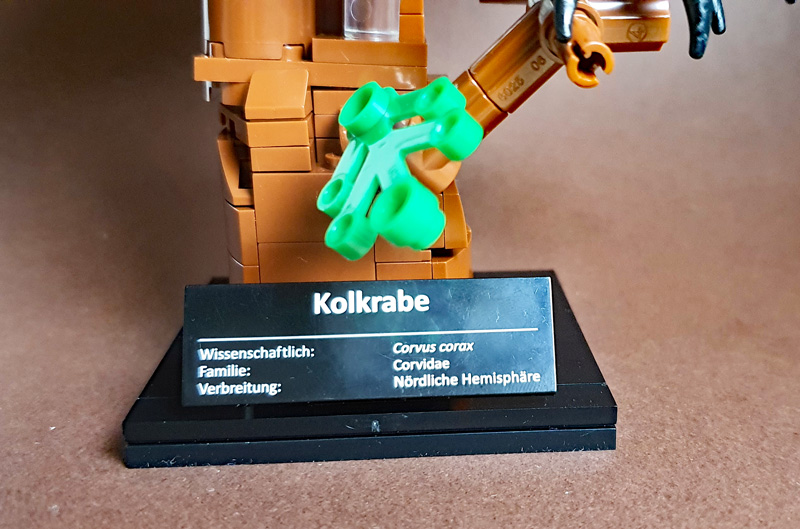 BlueBrixx Kolkrabe 107784 gebaut