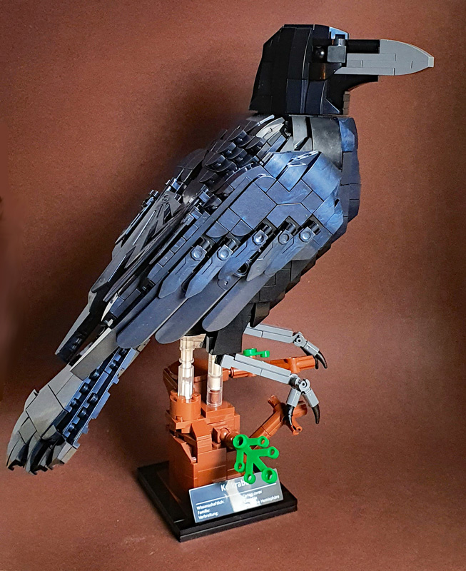 BlueBrixx Kolkrabe 107784 gebaut