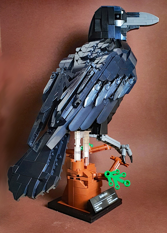 BlueBrixx Kolkrabe 107784 gebaut