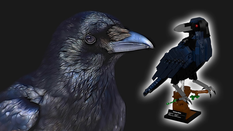 BlueBrixx Kolkrabe 107784 Titel