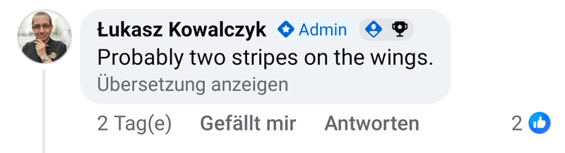 COBI B-2- 5916 Aufkleber