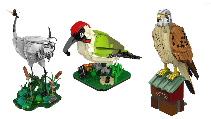 Vögel Ankündigungen bei BlueBrixx Collage