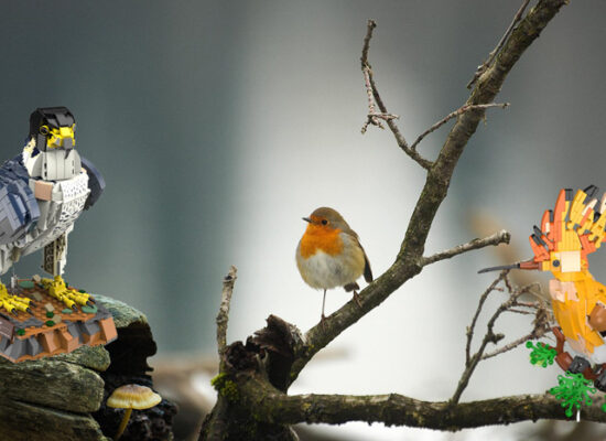 Wiedehopf und Wanderfalke neu im BlueBrixx Sortiment & neue Vögel angekündigt