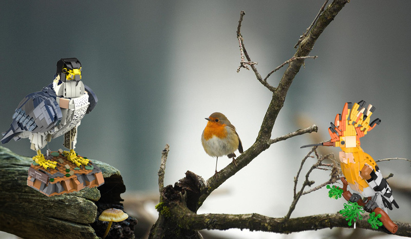 BlueBrixx Wanderfalke Wiedehopf Titel