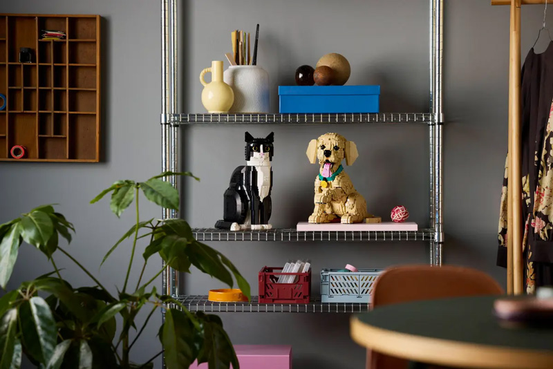 LEGO Valentinstag 11384 Golden Retriever Welpe und Katze 21349