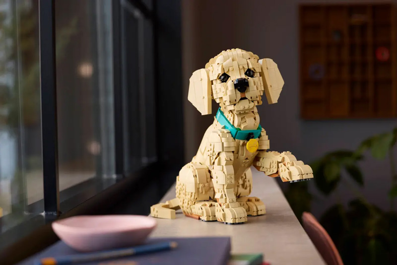 LEGO Valentinstag 11384 Golden Retriever Welpe