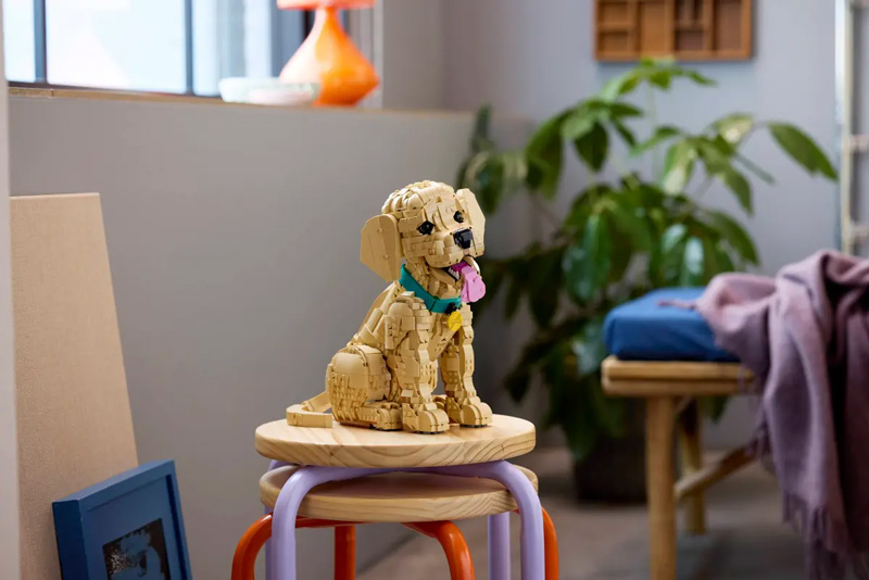 LEGO Valentinstag 11384 Golden Retriever Welpe