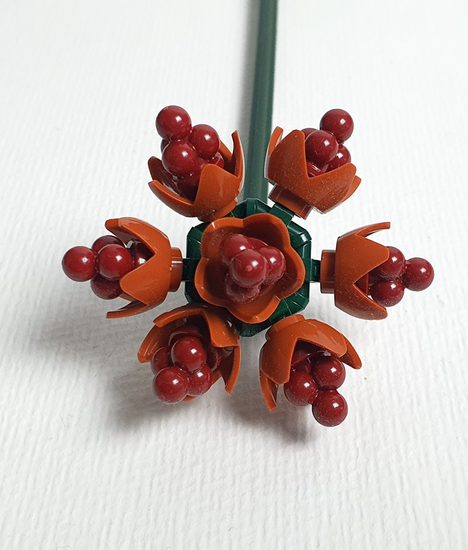 BRIXIES Plus Herbstzauber Blumenstrauß Pflanzen