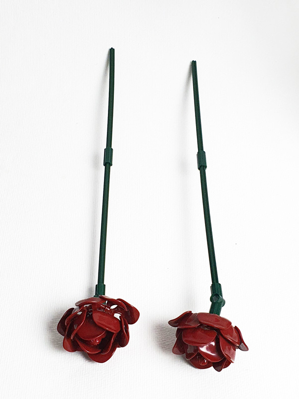 BRIXIES Plus Herbstzauber Blumenstrauß Pflanzen