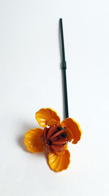 BRIXIES Plus Herbstzauber Blumenstrauß Pflanzen