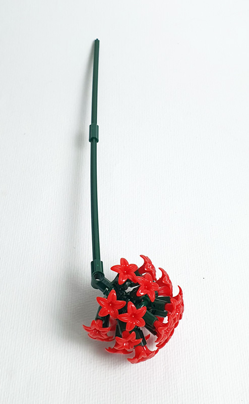 BRIXIES Plus Herbstzauber Blumenstrauß Pflanzen