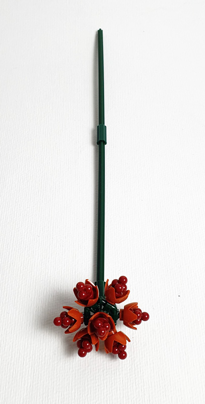 BRIXIES Plus Herbstzauber Blumenstrauß Pflanzen