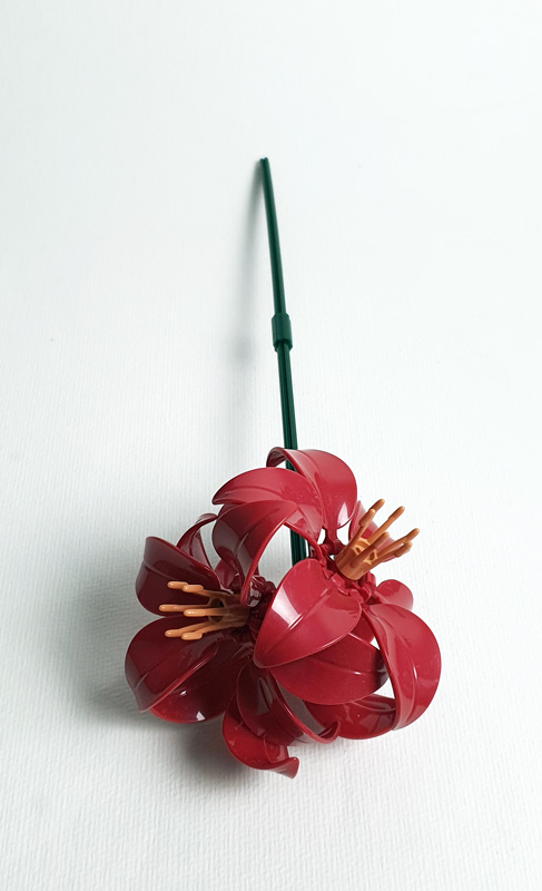 BRIXIES Plus Herbstzauber Blumenstrauß Pflanzen