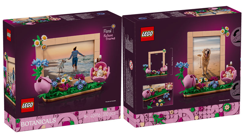 LEGO Botanicals GWP Bilderrahmen 40916 Box