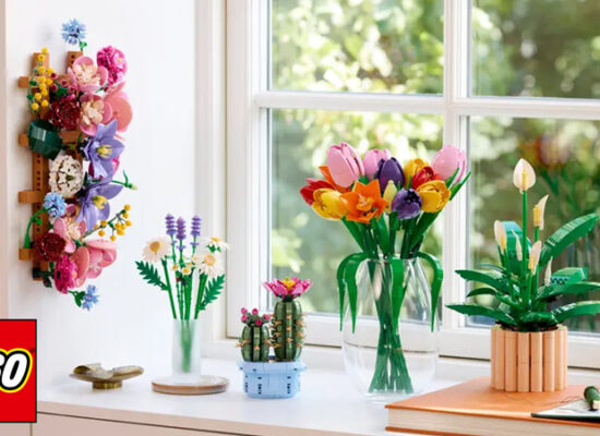 Alternate Wochendeal: LEGO Botanical Sets reduziert - bis zu 43 Prozent sparen