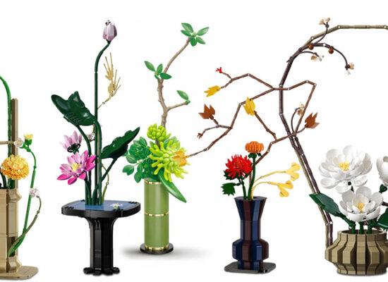 Neu bei CaDA: Blumen- und Pflanzenwelt