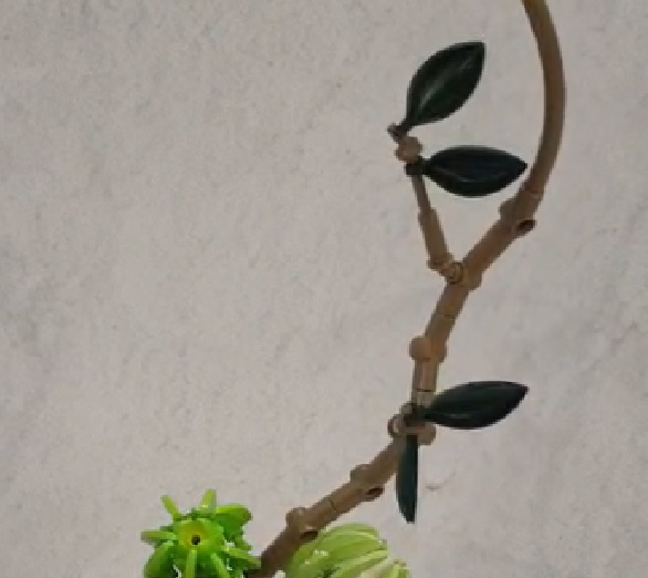 CaDA Crysantheme gebaut Detail