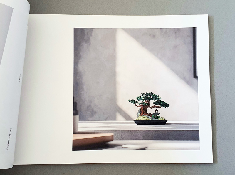 Nifeliz Bonsai Aufbau