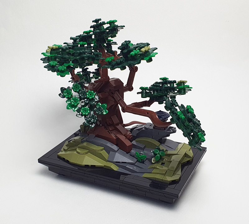 Nifeliz Bonsai Kurz-Review