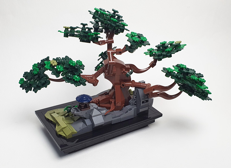 Nifeliz Bonsai Kurz-Review