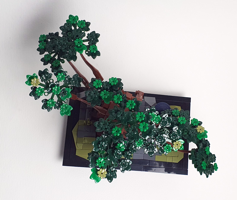 Nifeliz Bonsai Kurz-Review