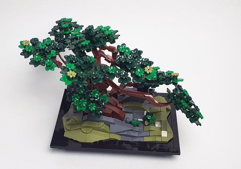 Nifeliz Bonsai Kurz-Review
