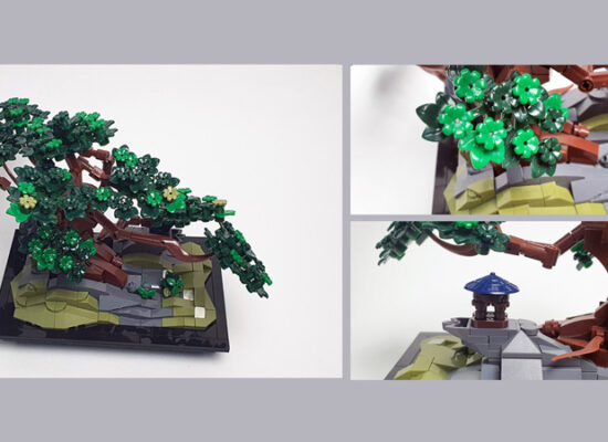 Nifeliz Bonsai Kurz-Review Nifeliz Bonsai Kurz-Review