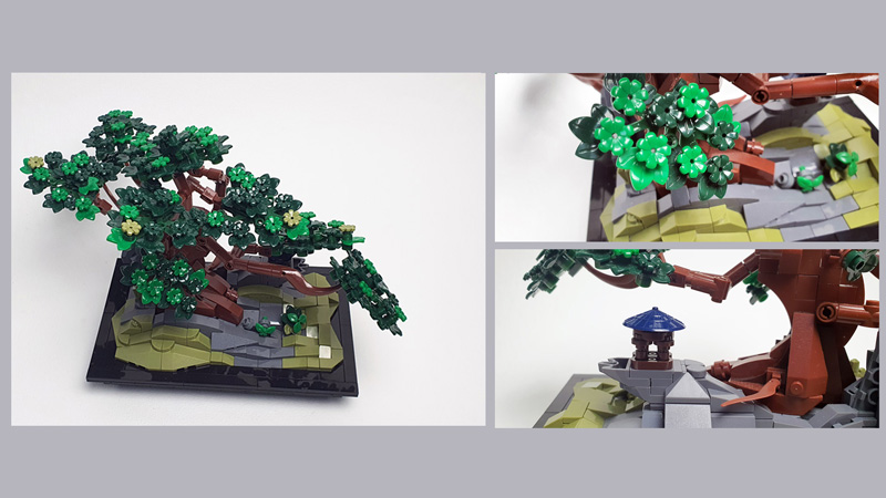 Nifeliz Bonsai Kurz-Review