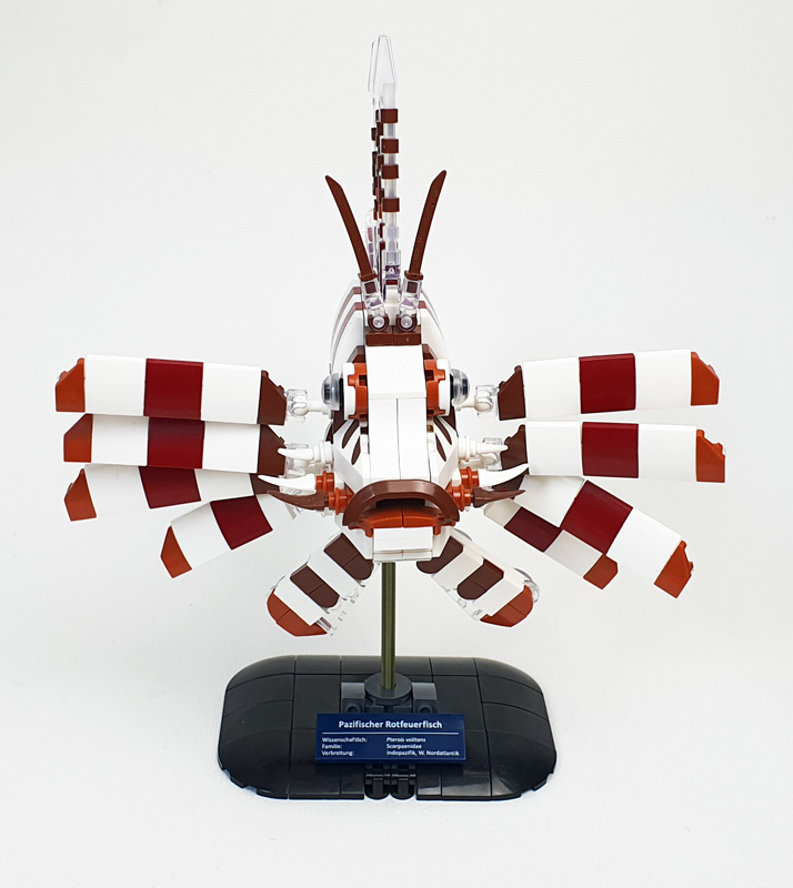 BlueBrixx Pazifischer Rotfeuerfisch (108796) gebaut