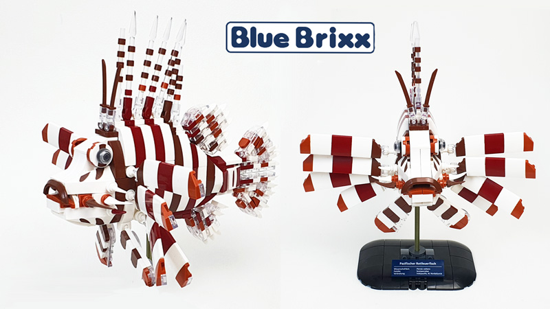 BlueBrixx Pazifischer Rotfeuerfisch (108796) Titel