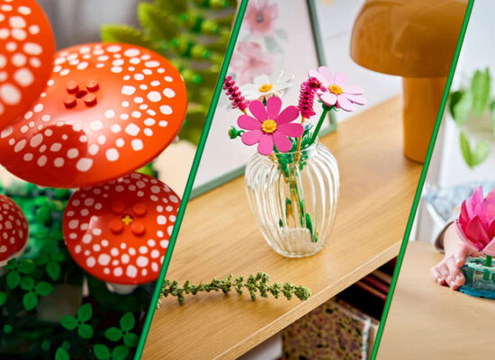 Neue LEGO Botanicals Sets für Juni 2026: Seerosen, Waldpilze und Kosmeen