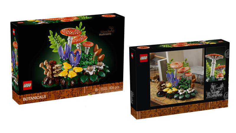 LEGO 11505 Waldpilze
