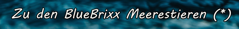 BlueBrixx Fische Banner