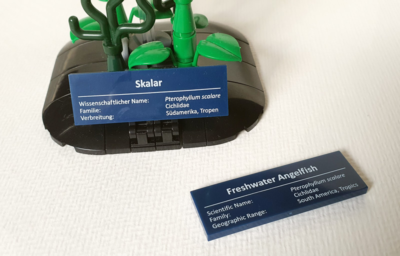 Bluebrixx Skalar (108816) gebaut