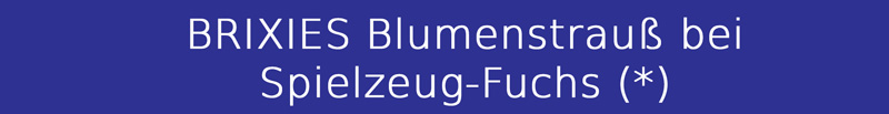 Blumen bei BRIXIES Banner