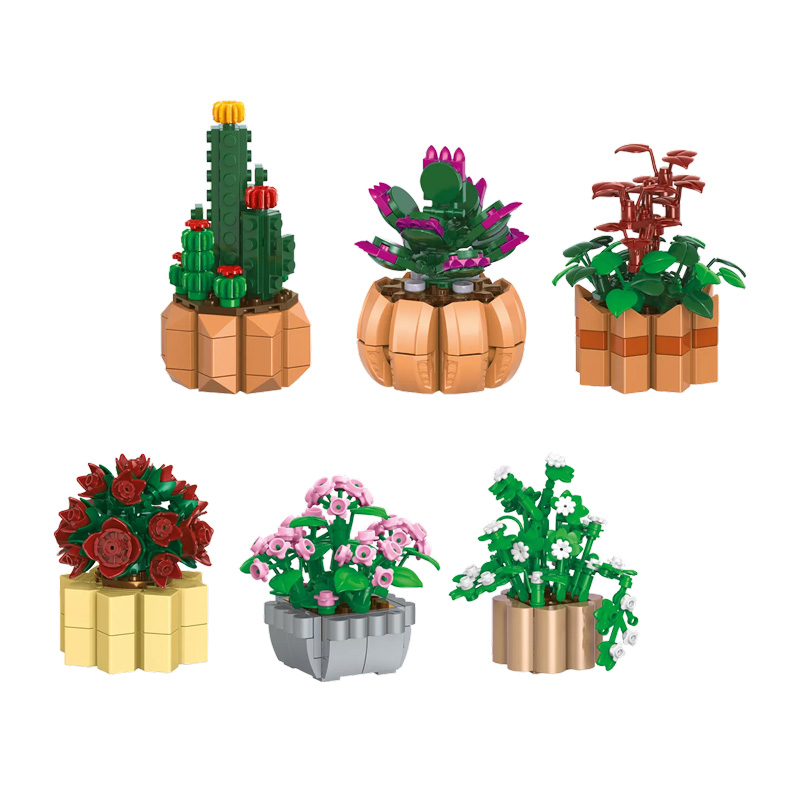 ALDI Nord pflanzen Sets