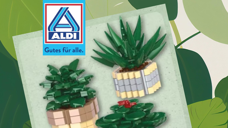 ALDI Nord Toylino Pflanzen Angebot Titel