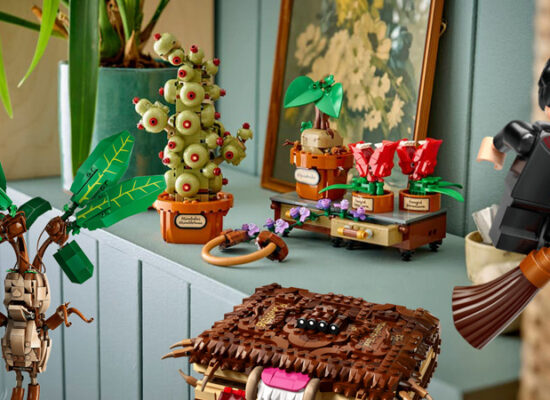 Mein Einstieg in die LEGO Harry Potter Welt Mein Einstieg in die LEGO Harry Potter Welt