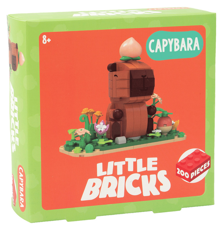 Aldi Süd Little bricks Tiere Capybara